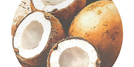 Ceramic Coasters-Coconut by Contrado