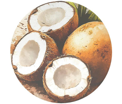 Ceramic Coasters-Coconut