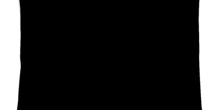 Obsidian Gold and Black Geometric Luxe Panel Pillow by Contrado