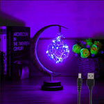 Moon Lamp Night Lights with LEDs - D'Sare 